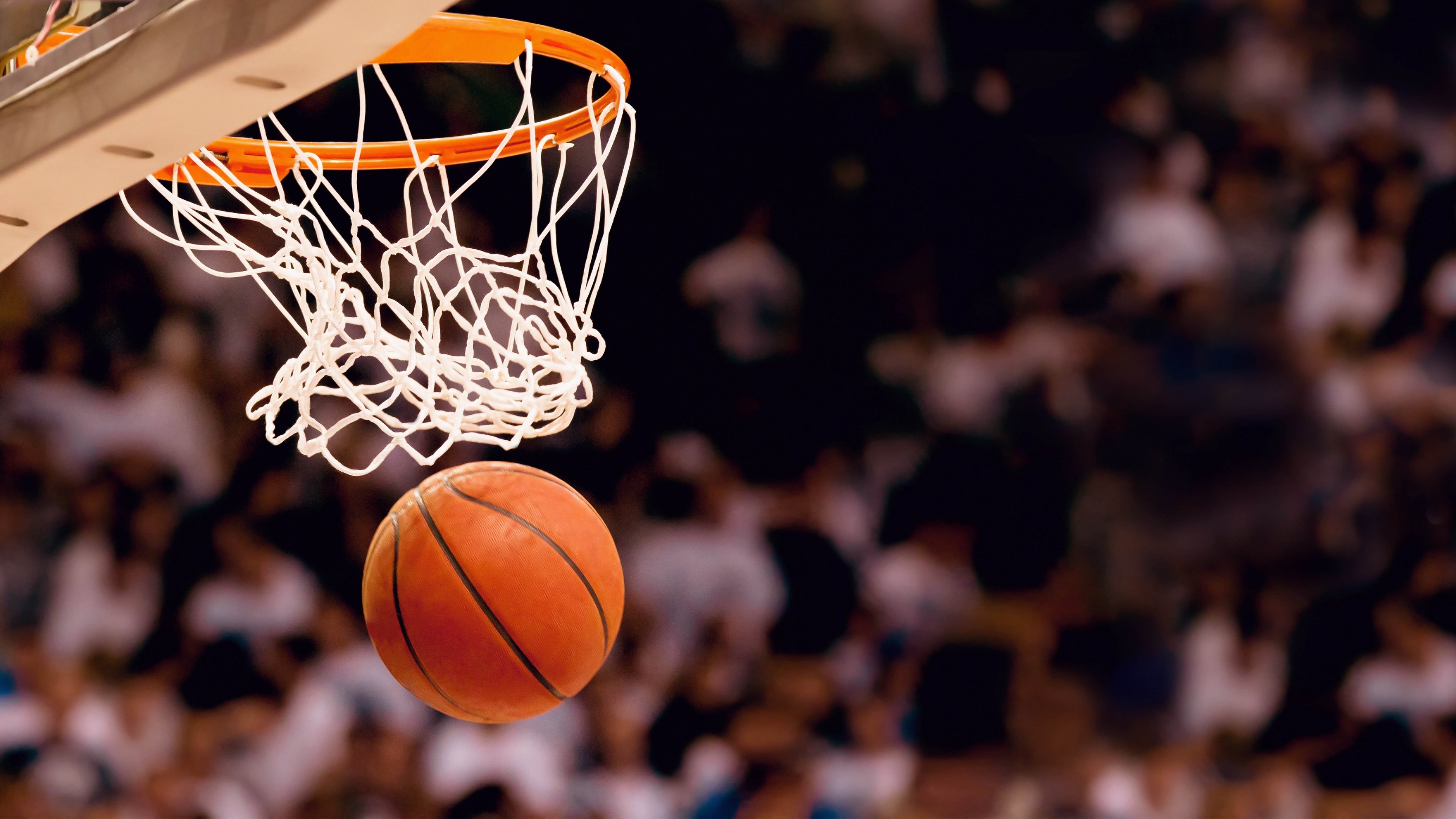 体育大学篮球专业录取条件，东莞市篮球学校招生简章 第2张